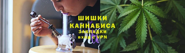 ГАЛЛЮЦИНОГЕННЫЕ ГРИБЫ Пестово