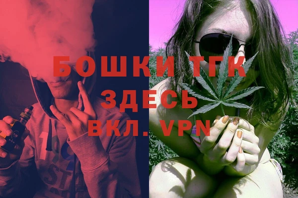 ГАЛЛЮЦИНОГЕННЫЕ ГРИБЫ Пестово