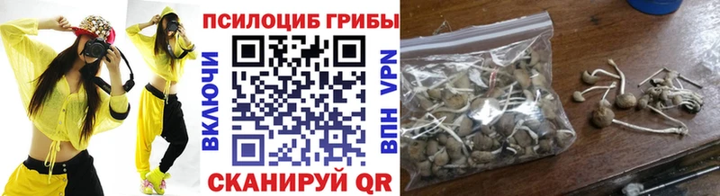 наркошоп  Щучье  Галлюциногенные грибы MAGIC MUSHROOMS 